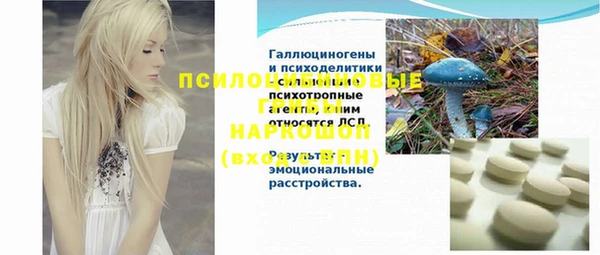 сатива Аркадак
