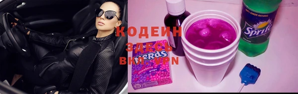 сатива Аркадак