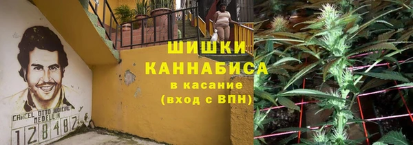 сатива Аркадак