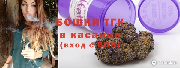 сатива Аркадак