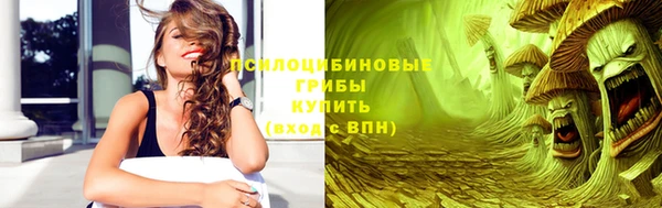 сатива Аркадак